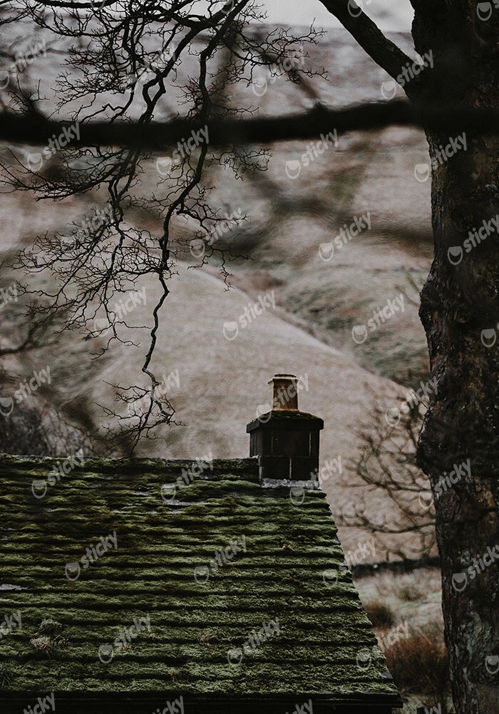 Πίνακας σε Καμβά RUSTIC FARMHOUSE CHIMNEY