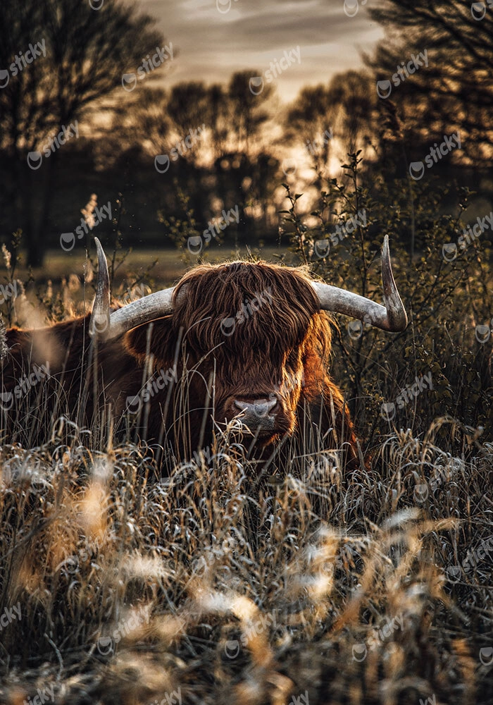 Πίνακας σε Καμβά RUSTIC FARMHOUSE COW