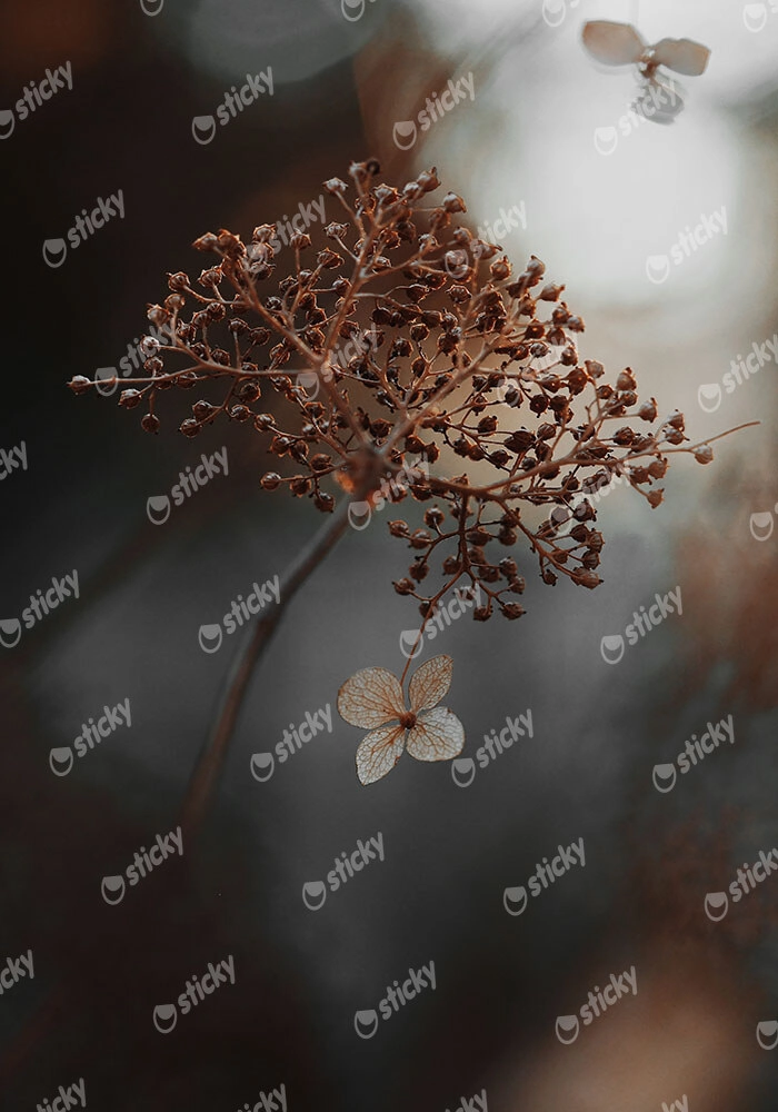 Πίνακας σε Καμβά RUSTIC FARMHOUSE DRIED LEAVES 2