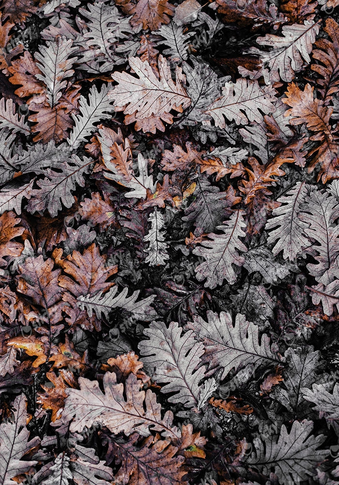 Πίνακας σε Καμβά RUSTIC FARMHOUSE DRIED LEAVES 3