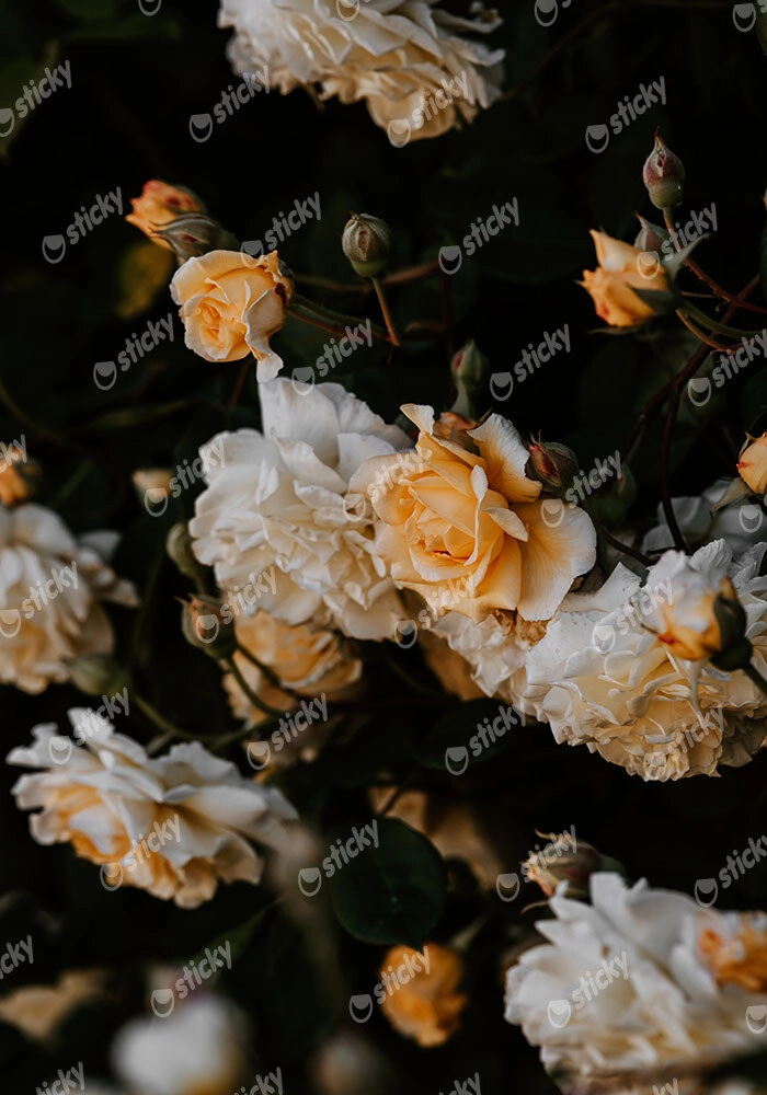 Πίνακας σε Καμβά RUSTIC FARMHOUSE FLOWERS
