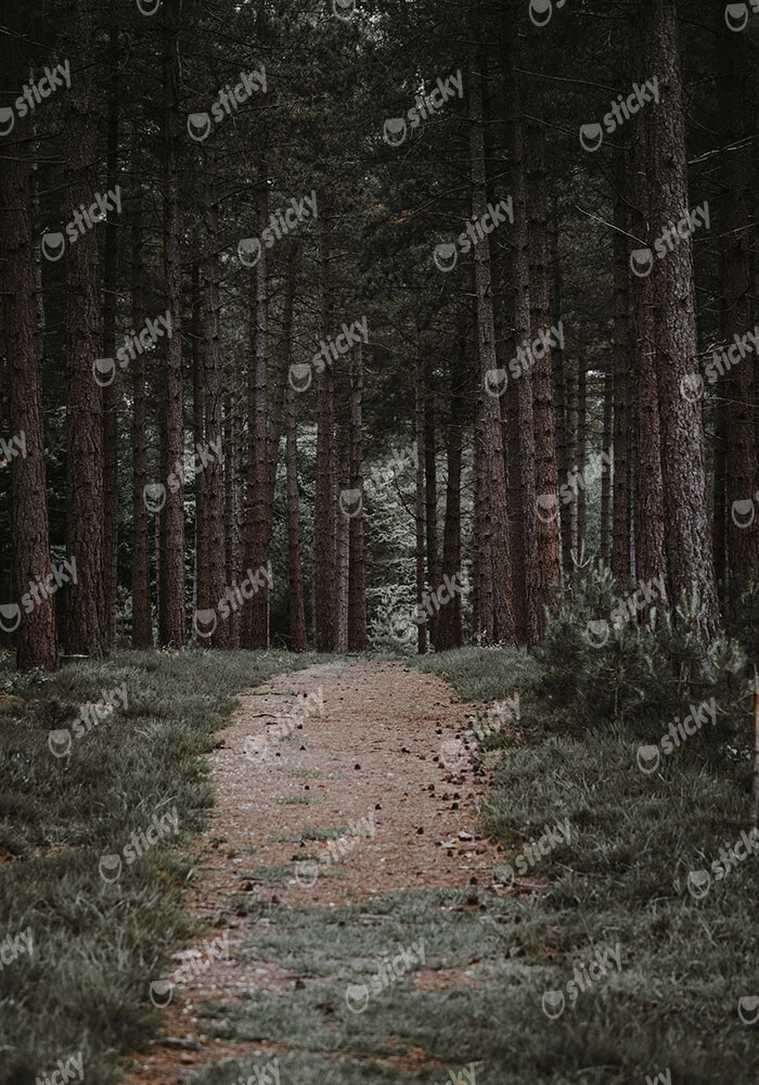 Πίνακας σε Καμβά RUSTIC FARMHOUSE FOREST PATH