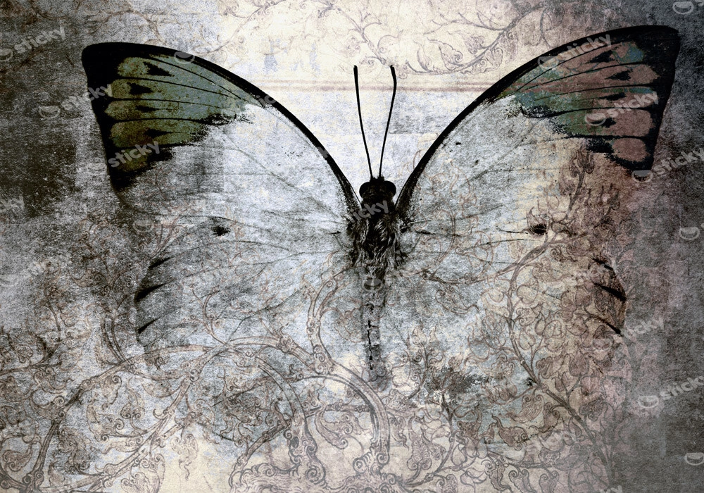 Πινακας σε καμβά ABSTRACT BUTTERFLY