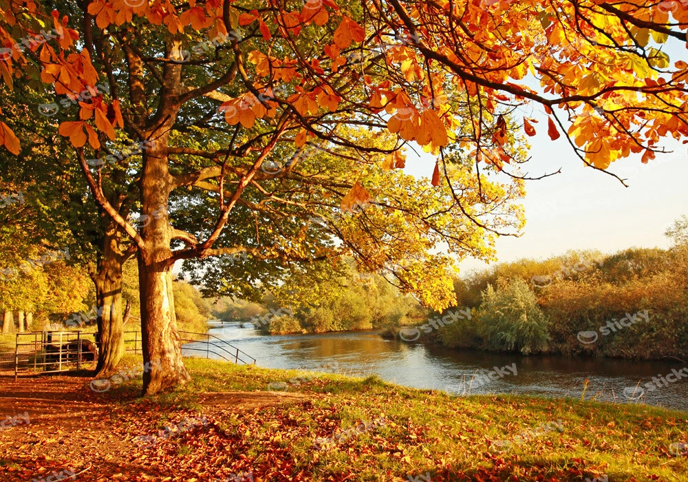 Πινακας σε καμβά BEAUTIFUL FALL PARK