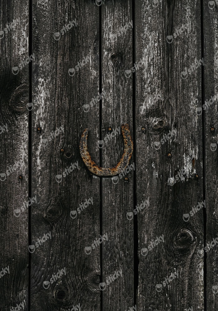 Πίνακας σε Καμβά RUSTIC FARMHOUSE HORSESHOE