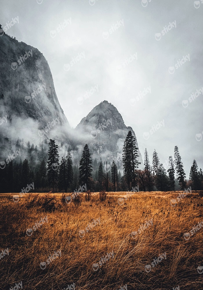 Πίνακας σε Καμβά RUSTIC FARMHOUSE MOUNTAIN LIFE 2