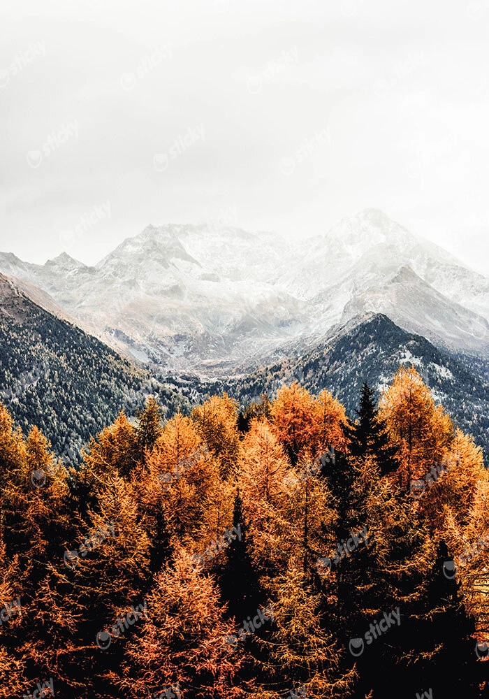 Πίνακας σε Καμβά RUSTIC FARMHOUSE MOUNTAIN LIFE 4