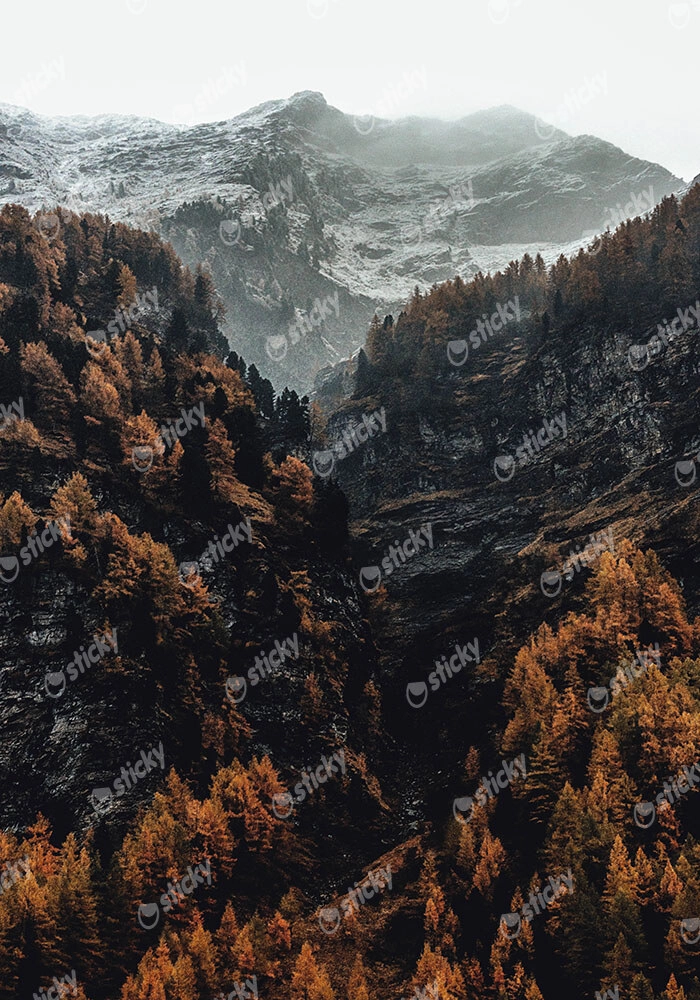 Πίνακας σε Καμβά RUSTIC FARMHOUSE MOUNTAIN LIFE 5