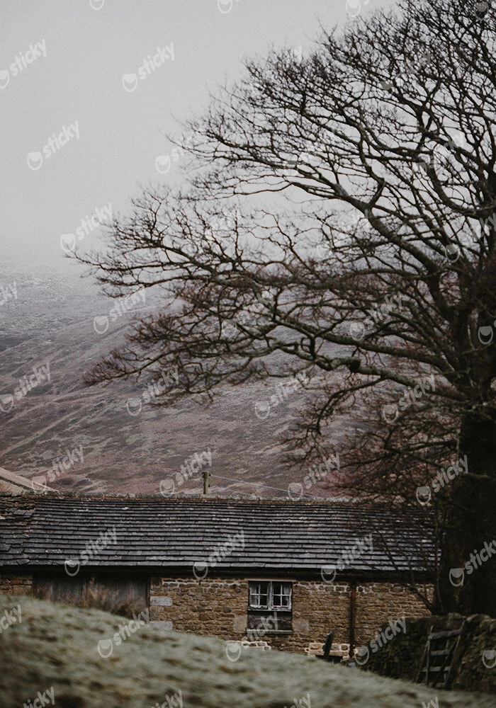 Πίνακας σε Καμβά RUSTIC FARMHOUSE MOUNTAIN LIFE 7