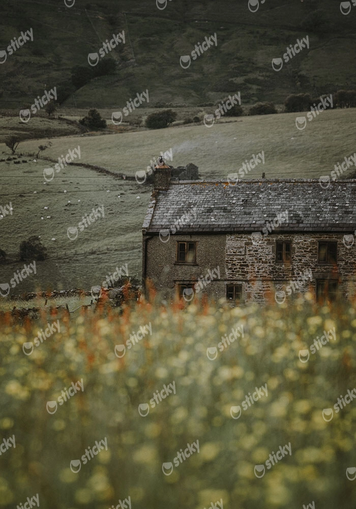 Πίνακας σε Καμβά RUSTIC FARMHOUSE MOUNTAIN LIFE 8