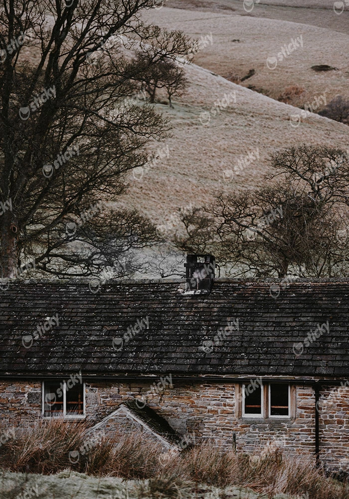 Πίνακας σε Καμβά RUSTIC FARMHOUSE MOUNTAIN LIFE 10