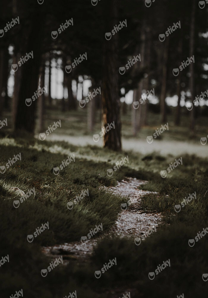 Πίνακας σε Καμβά RUSTIC FARMHOUSE MOUNTAIN PATH
