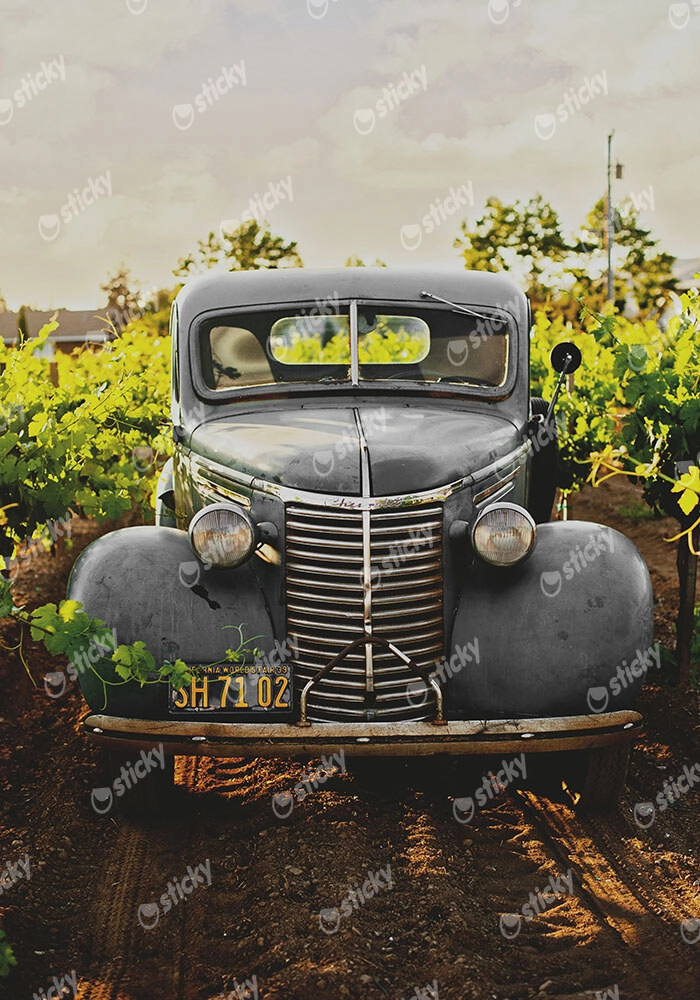 Πίνακας σε Καμβά RUSTIC FARMHOUSE OLD CAR