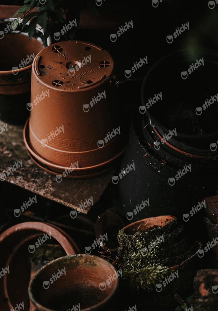 Πίνακας σε Καμβά RUSTIC FARMHOUSE POTS 2