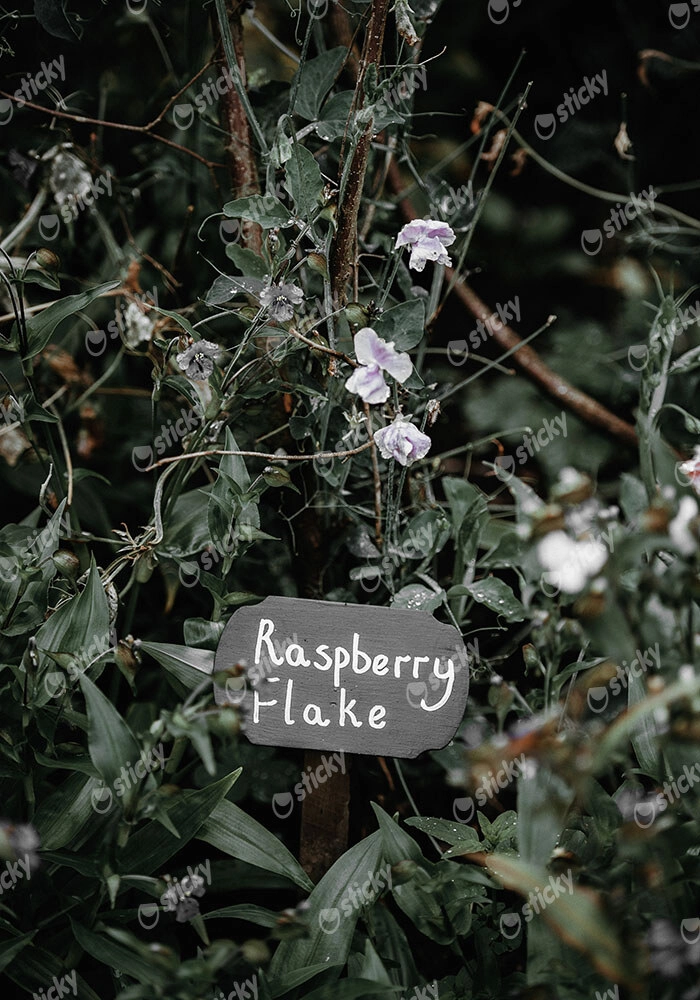 Πίνακας σε Καμβά RUSTIC FARMHOUSE RASPBERRY FLAKE
