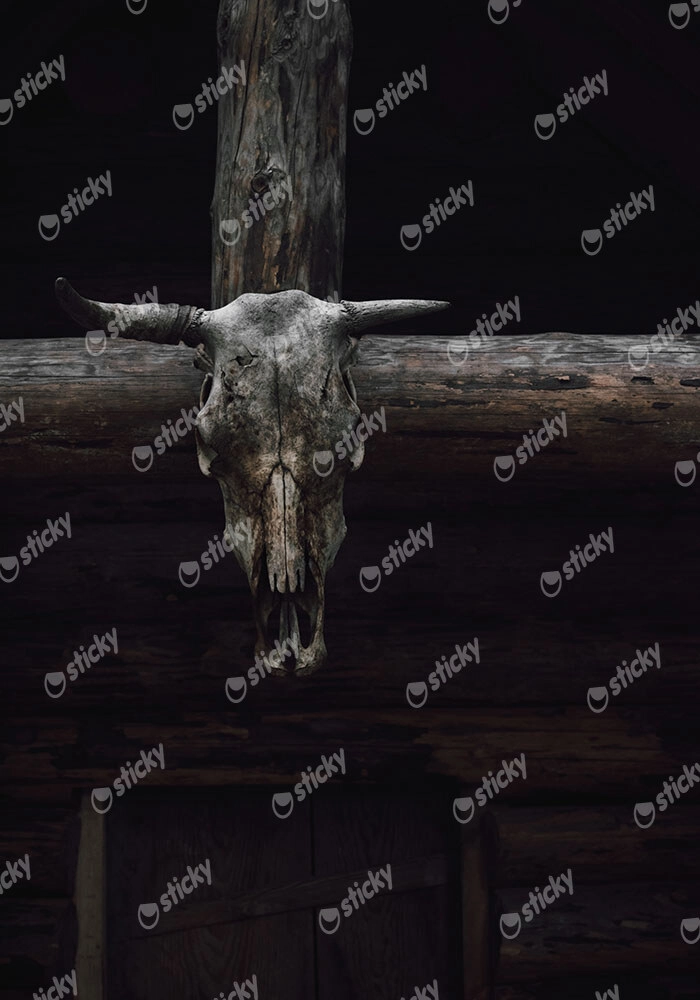 Πίνακας σε Καμβά RUSTIC FARMHOUSE SKULL
