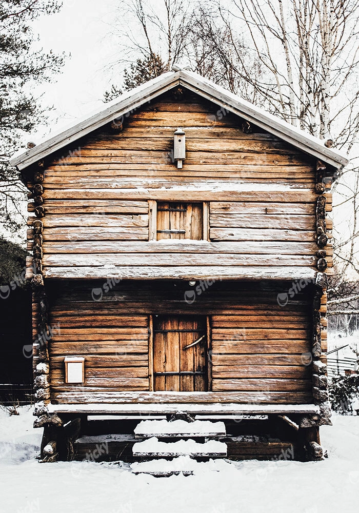 Πίνακας σε Καμβά RUSTIC FARMHOUSE SNOWY CABIN