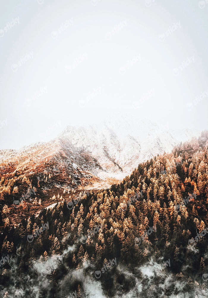 Πίνακας σε Καμβά RUSTIC FARMHOUSE SNOWY MOUNTAIN 2