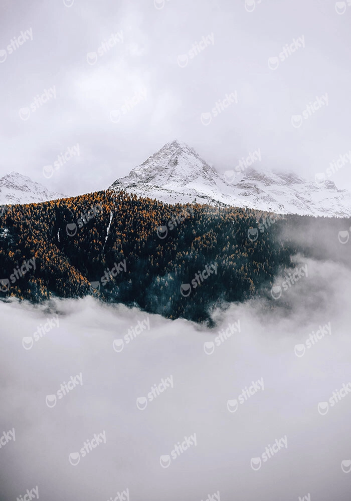 Πίνακας σε Καμβά RUSTIC FARMHOUSE SNOWY MOUNTAIN