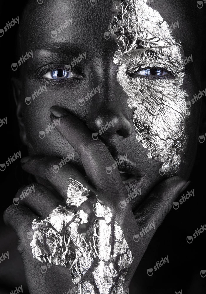 Πινακας σε καμβά SILVER FACE