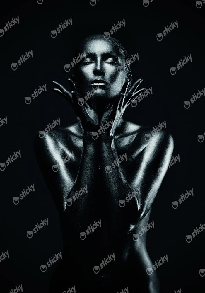 Πινακας σε καμβά SILVER LADY