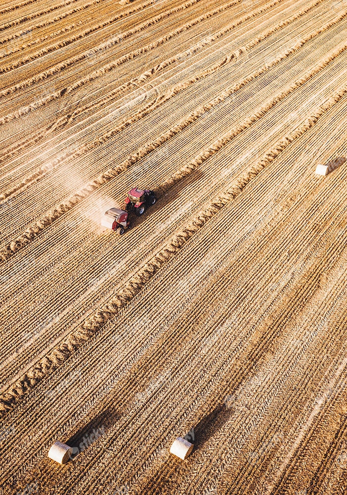 Πίνακας σε Καμβά RUSTIC FARMHOUSE WHEAT FIELD