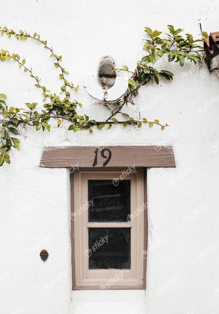 Πίνακας σε Καμβά RUSTIC FARMHOUSE WINDOW 2