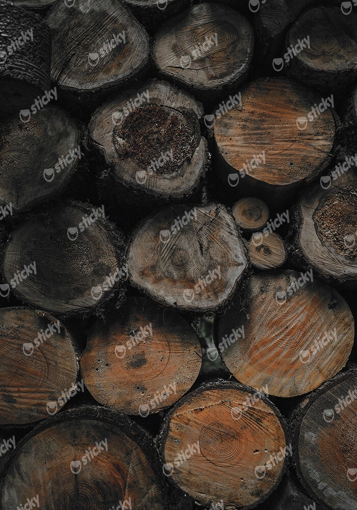 Πίνακας σε Καμβά RUSTIC FARMHOUSE WOOD LOGS 2