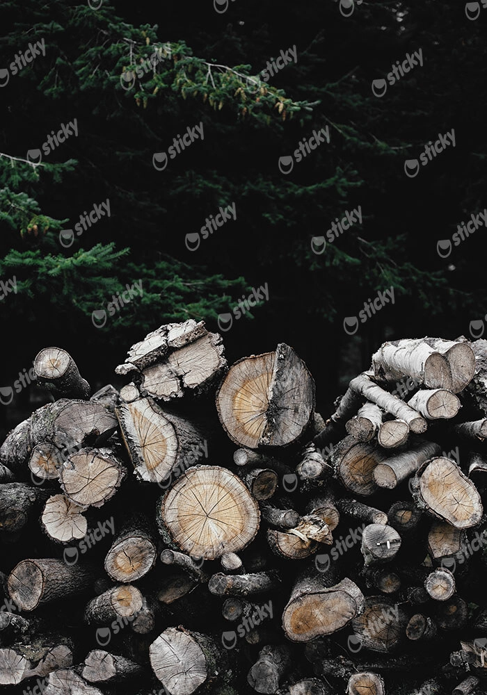 Πίνακας σε Καμβά RUSTIC FARMHOUSE WOOD LOGS 3