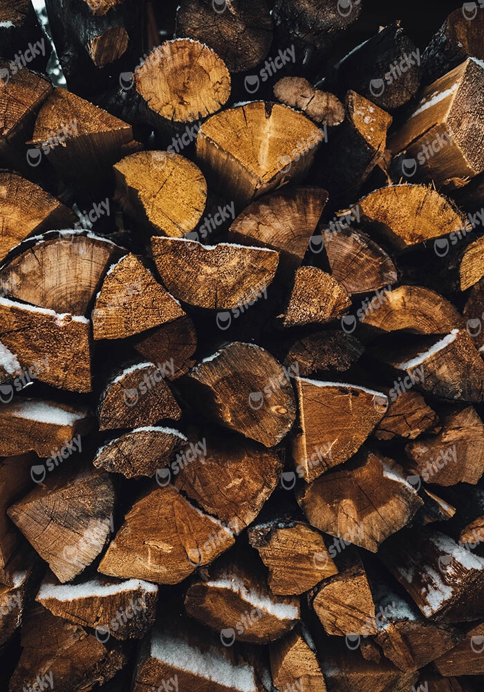 Πίνακας σε Καμβά RUSTIC FARMHOUSE WOOD LOGS