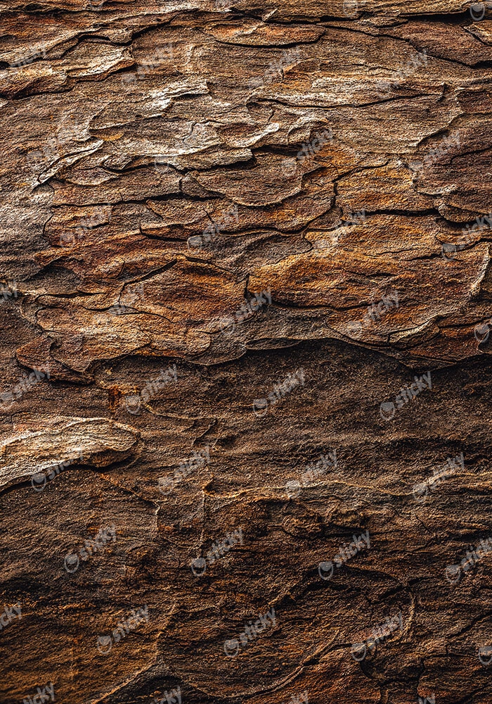 Πίνακας σε Καμβά RUSTIC FARMHOUSE WOOD TEXTURE 2