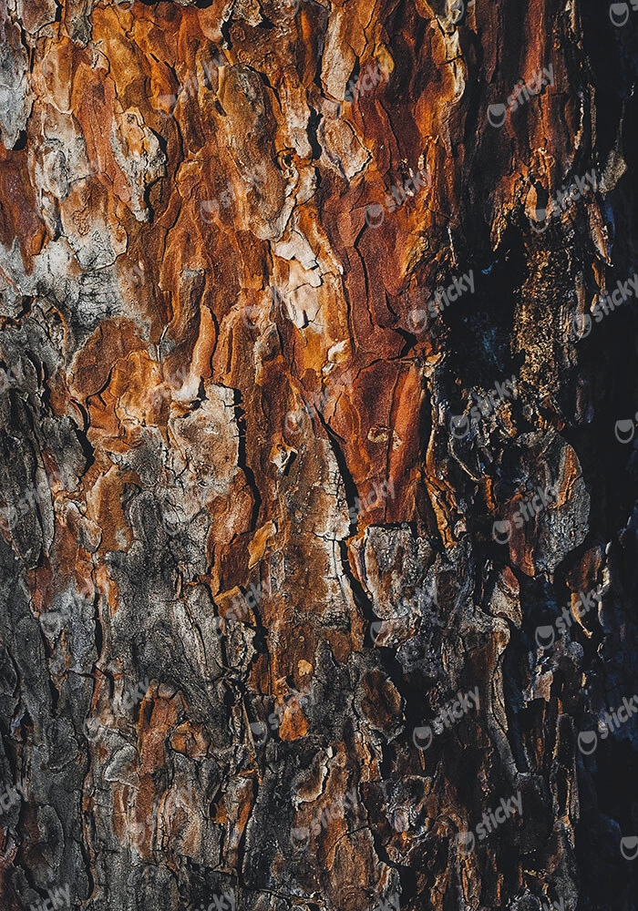 Πίνακας σε Καμβά RUSTIC FARMHOUSE WOOD TEXTURE 3