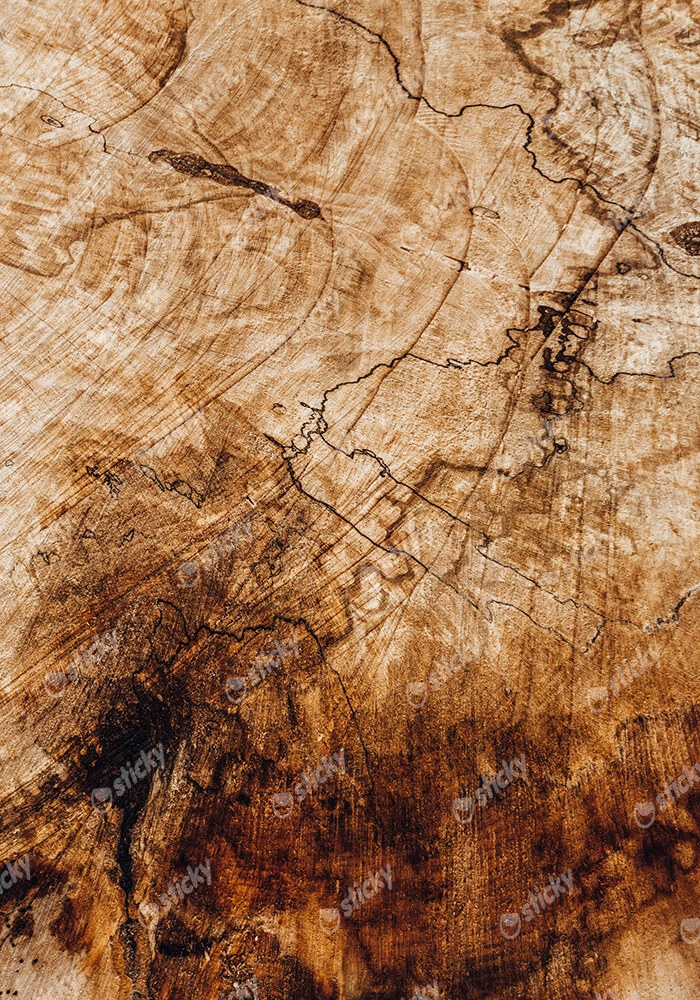 Πίνακας σε Καμβά RUSTIC FARMHOUSE WOOD TEXTURE