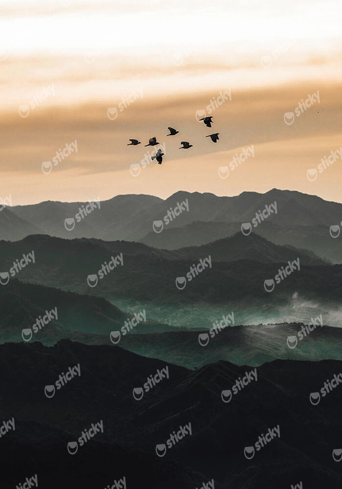 Πίνακας σε Καμβά RUSTIC FARMHOUSE BIRDS FLYING