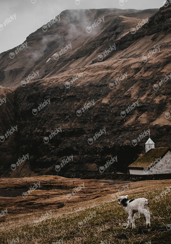Πίνακας σε Καμβά RUSTIC FARMHOUSE CALF