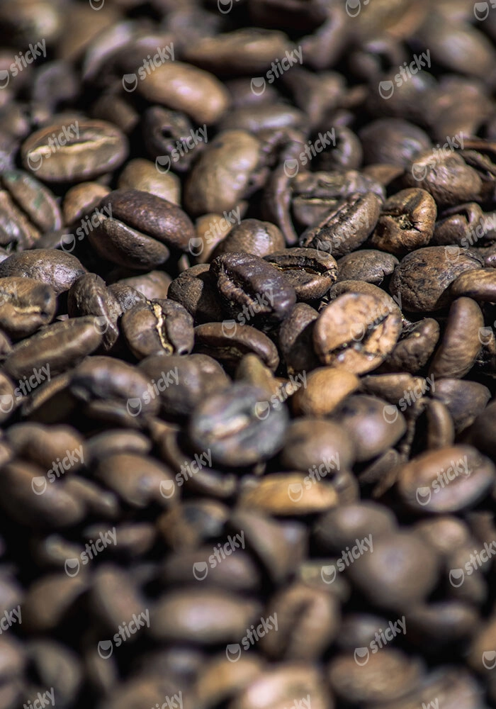 Πίνακας σε Καμβά RUSTIC FARMHOUSE COFFEE BEANS