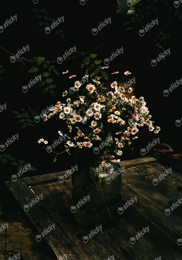 Πίνακας σε Καμβά RUSTIC FARMHOUSE DAISIES