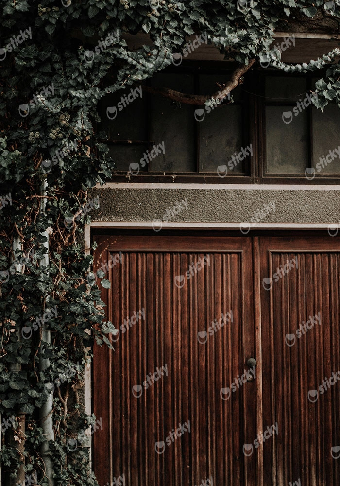 Πίνακας σε Καμβά RUSTIC FARMHOUSE DOOR 3