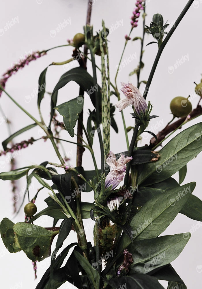 Πίνακας σε Καμβά RUSTIC FARMHOUSE FLOWERS 2
