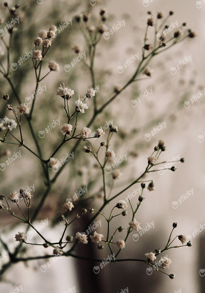 Πίνακας σε Καμβά RUSTIC FARMHOUSE FLOWERS 4