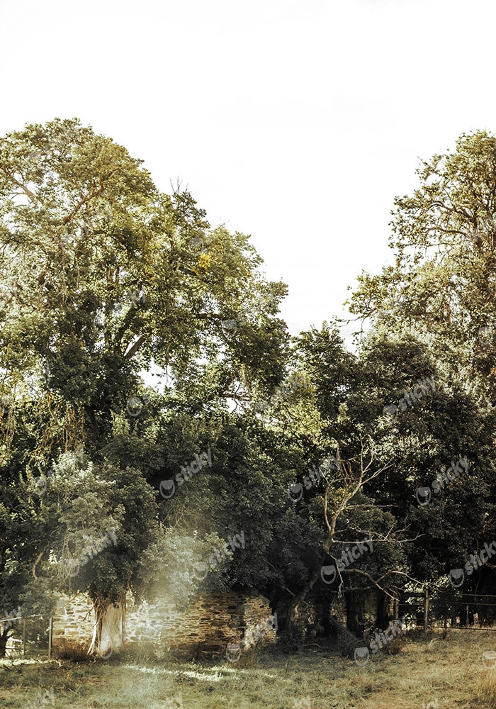 Πίνακας σε Καμβά RUSTIC FARMHOUSE FOREST PATH 2