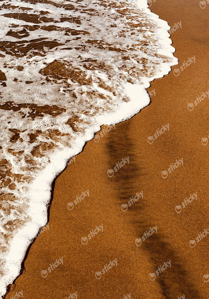 Πίνακας σε Καμβά RUSTIC FARMHOUSE LAKE FOAM