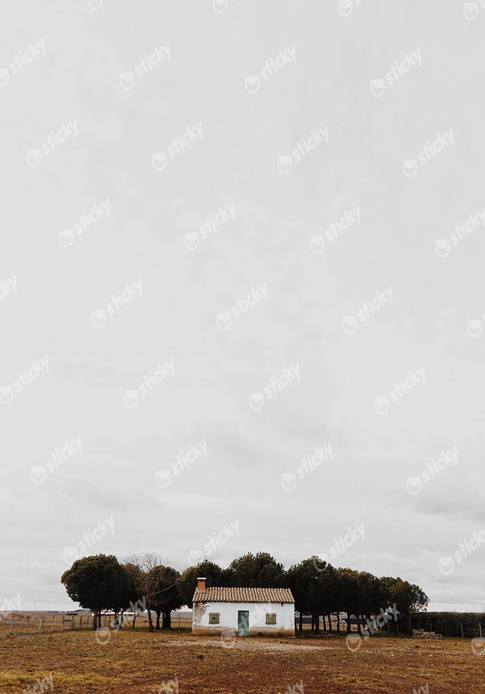 Πίνακας σε Καμβά RUSTIC FARMHOUSE LONE HOUSE