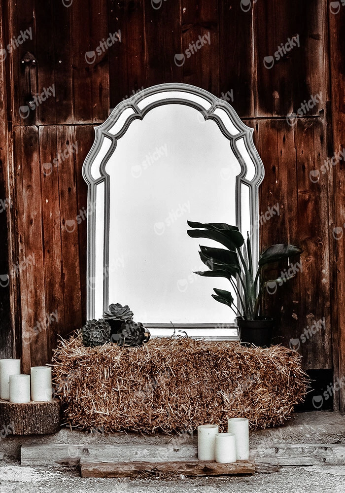 Πίνακας σε Καμβά RUSTIC FARMHOUSE MIRROR 2