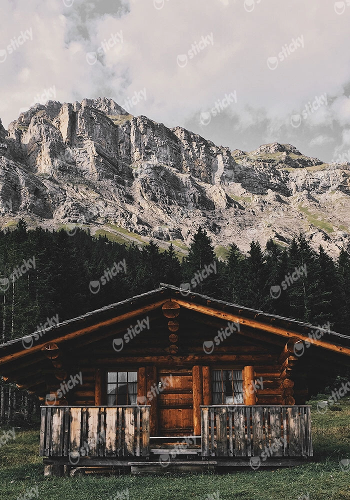 Πίνακας σε Καμβά RUSTIC FARMHOUSE MOUNTAIN LIFE 14