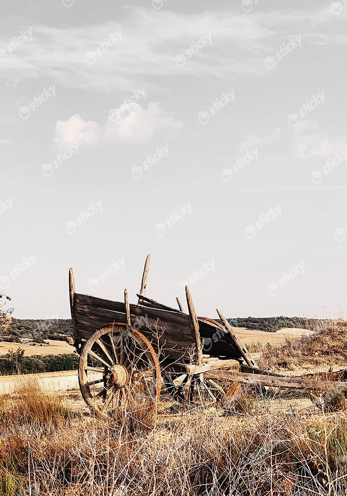 Πίνακας σε Καμβά RUSTIC FARMHOUSE OLD CARRIAGE