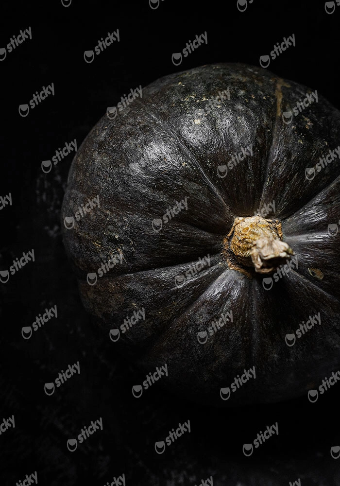 Πίνακας σε Καμβά RUSTIC FARMHOUSE PUMPKIN 2