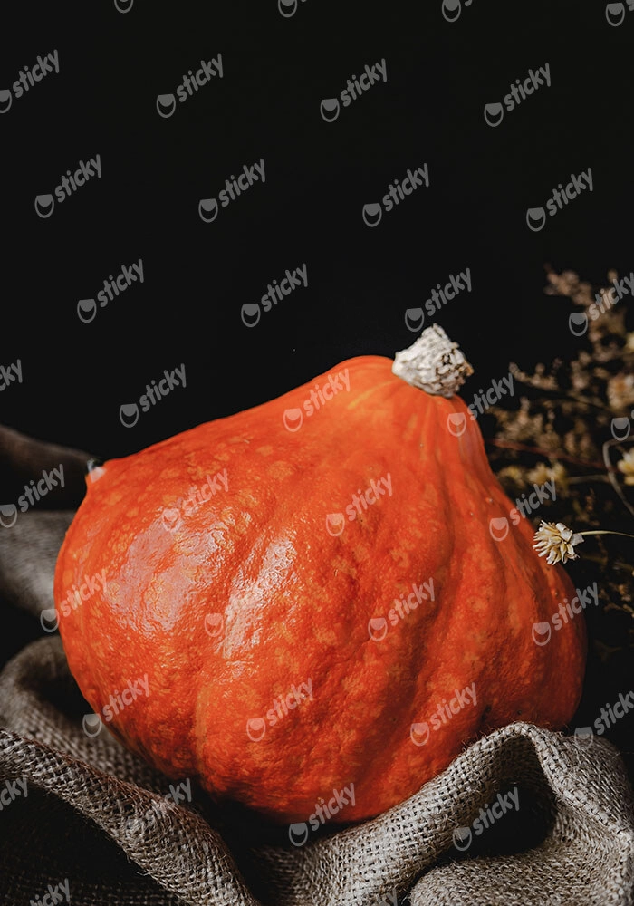 Πίνακας σε Καμβά RUSTIC FARMHOUSE PUMPKIN