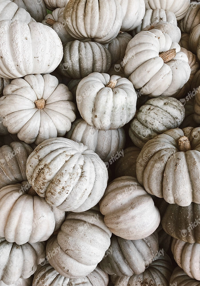 Πίνακας σε Καμβά RUSTIC FARMHOUSE PUMPKINS 2