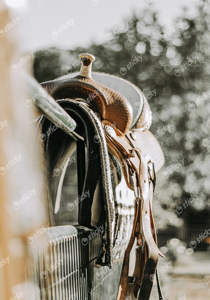 Πίνακας σε Καμβά RUSTIC FARMHOUSE SADDLE 2